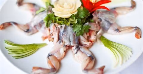 Ăn thịt cóc có thực sự tốt? ảnh 1