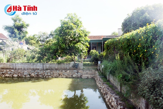 Vườn mẫu thôn Hà Thanh (Tượng Sơn - Thạch Hà) được đầu tư xây dựng khoa học, cho hiệu quả kinh tế cao. Vườn mẫu thôn Hà Thanh (Tượng Sơn - Thạch Hà) được đầu tư xây dựng khoa học, cho hiệu quả kinh tế cao.