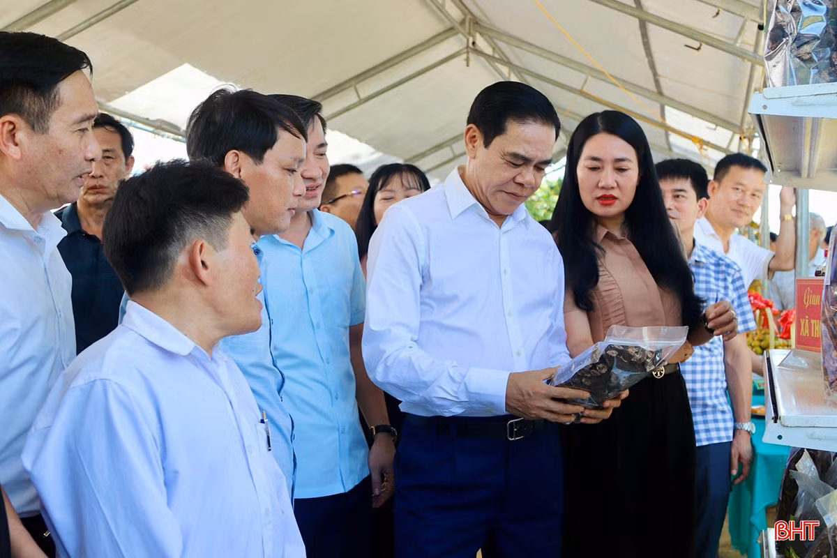 Chủ tịch UBND tỉnh Võ Trọng Hải tham quan gian hàng OCOP của xã Thọ Điền.