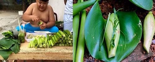 Những trò chơi gợi nhớ một thời tuổi thơ ảnh 3