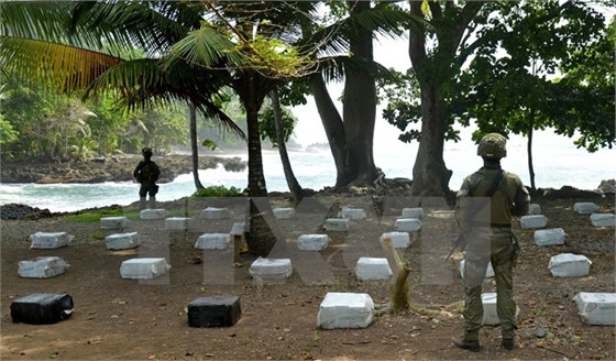 Cảnh sát Colombia gác bên số ma túy bị tịch thu. Ảnh minh họa. (Nguồn: AFP/TTXVN)