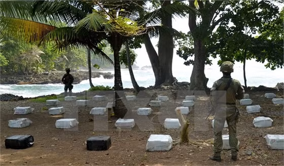 Cảnh sát Colombia gác bên số ma túy bị tịch thu. Ảnh minh họa. (Nguồn: AFP/TTXVN)