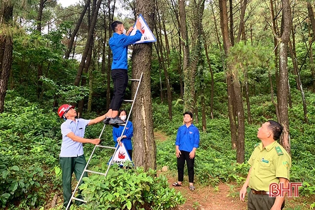 Tuổi trẻ Hà Tĩnh sôi nổi hưởng ứng “Ngày chủ nhật xanh”