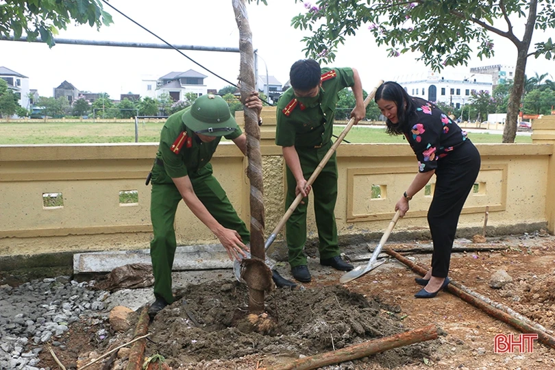 30 cây phượng vàng làm đẹp thêm cảnh quan phường trung tâm TP Hà Tĩnh