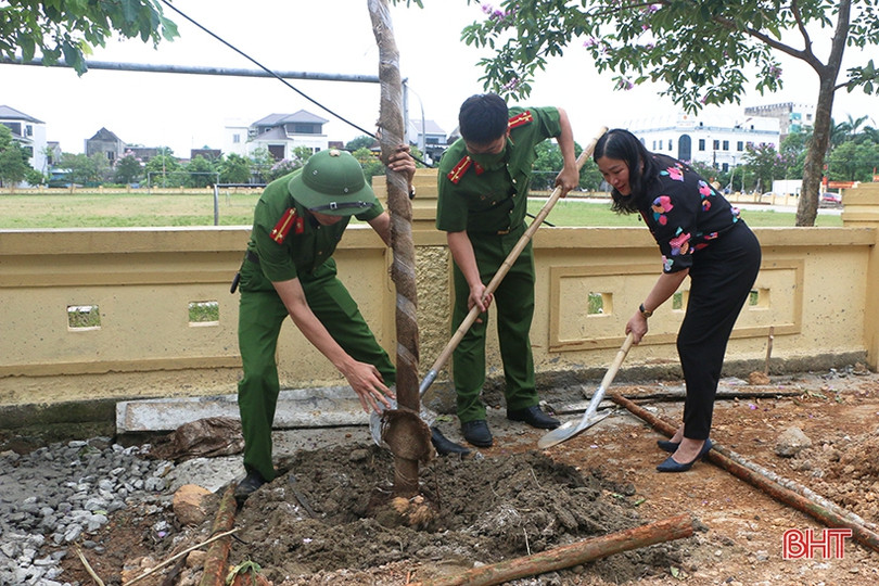 30 cây phượng vàng làm đẹp thêm cảnh quan phường trung tâm TP Hà Tĩnh