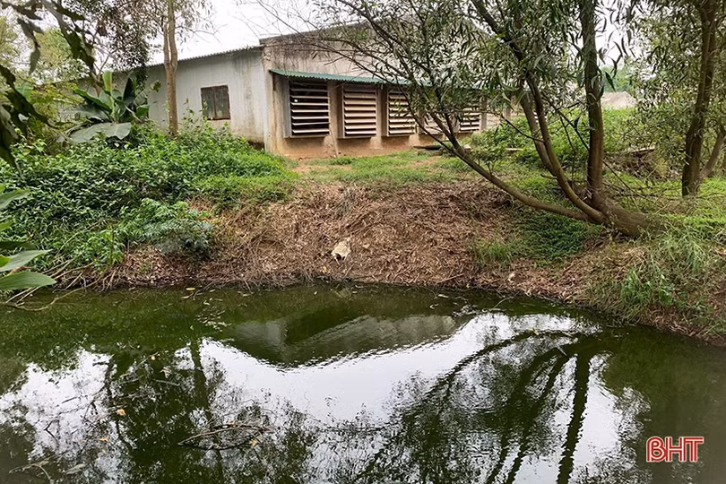 Nghi Xuân xử phạt 2 trại nuôi lợn vi phạm về môi trường