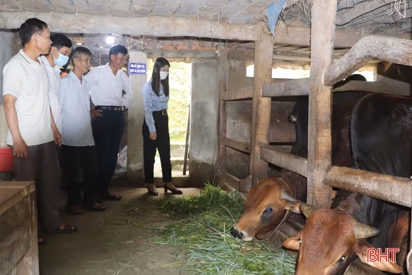 Chi hội trưởng nông dân miền núi say mê việc hội, làm kinh tế giỏi