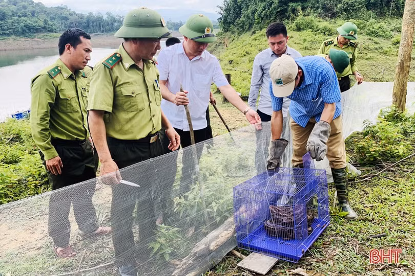 Thả 56 cá thể động vật hoang dã về “Vườn Di sản ASEAN” tại Hà Tĩnh