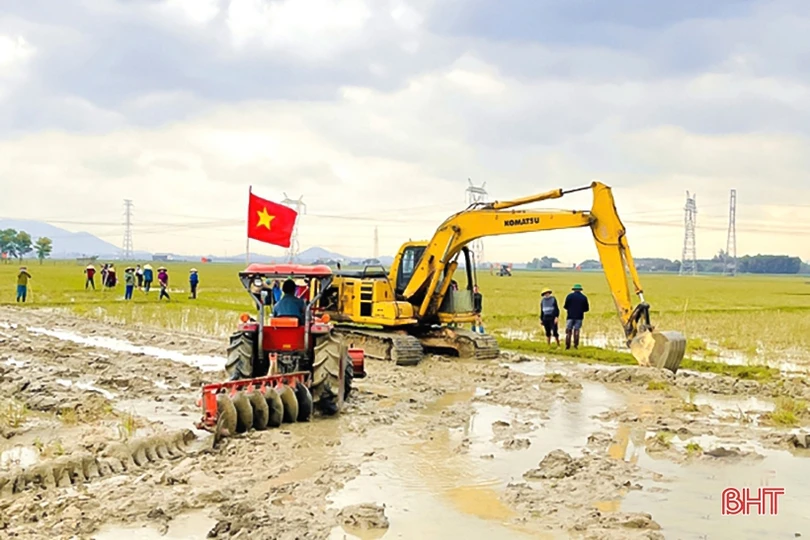 Cánh đồng chuyển đổi ruộng đất khẳng định ưu thế trong sản xuất ở Kỳ Anh