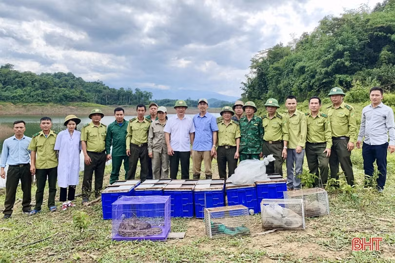 Thả 56 cá thể động vật hoang dã về “Vườn Di sản ASEAN” tại Hà Tĩnh