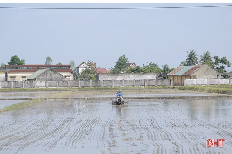 Can Lộc thưởng các xã hoàn thành sản xuất hè thu trước 5/6