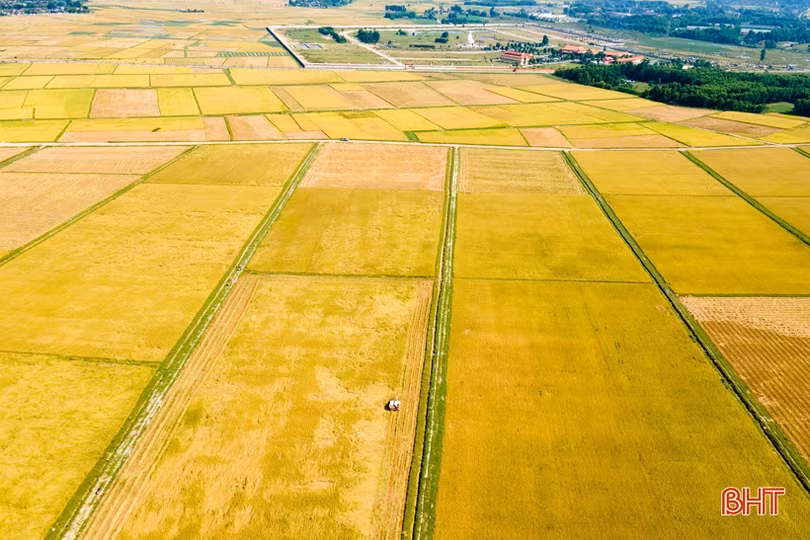 Hà Tĩnh nỗ lực phát triển nhanh và bền vững trong thời kỳ đẩy mạnh CNH-HĐH, hội nhập kinh tế quốc tế