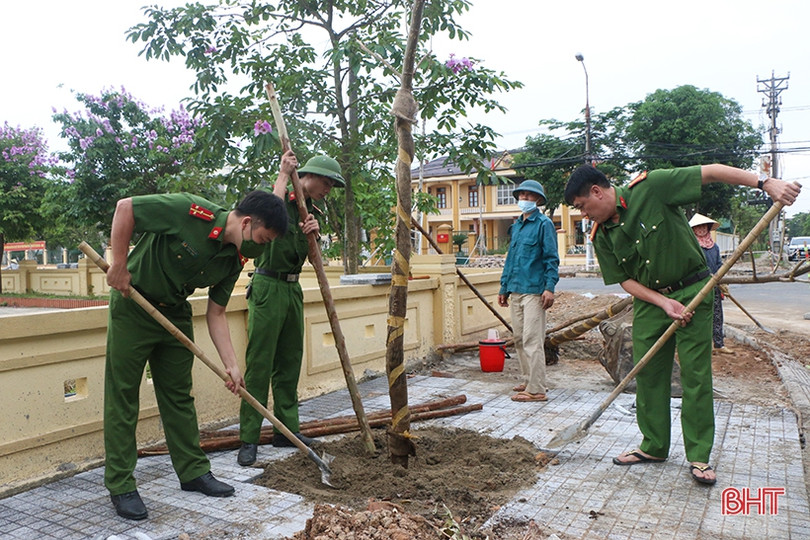 30 cây phượng vàng làm đẹp thêm cảnh quan phường trung tâm TP Hà Tĩnh