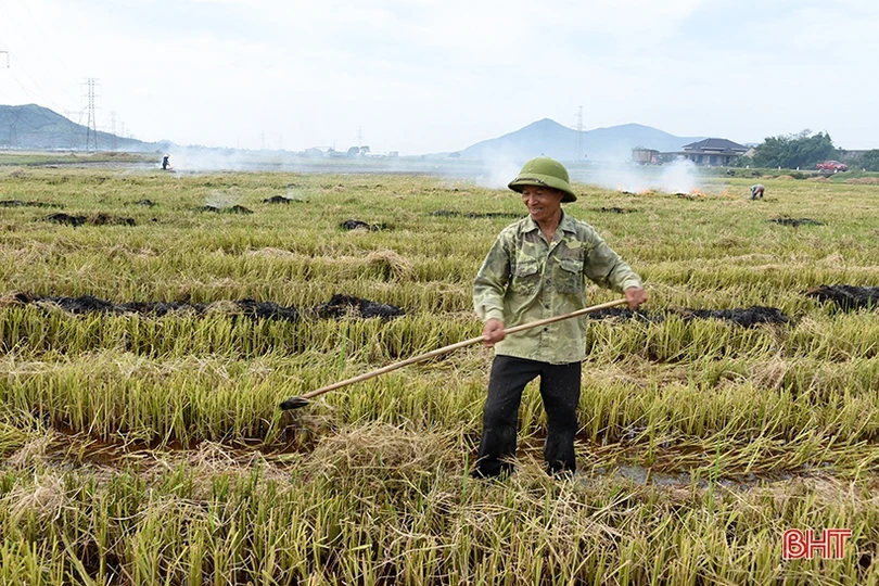 Cánh đồng chuyển đổi ruộng đất khẳng định ưu thế trong sản xuất ở Kỳ Anh