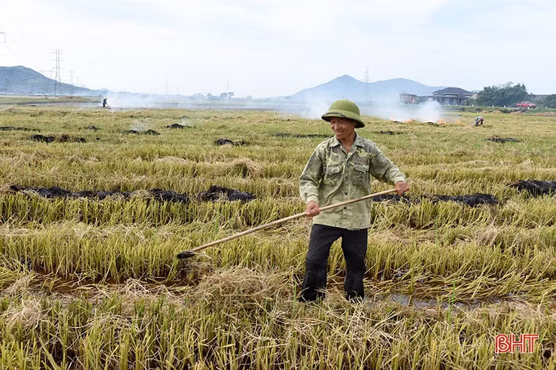 Cánh đồng chuyển đổi ruộng đất khẳng định ưu thế trong sản xuất ở Kỳ Anh