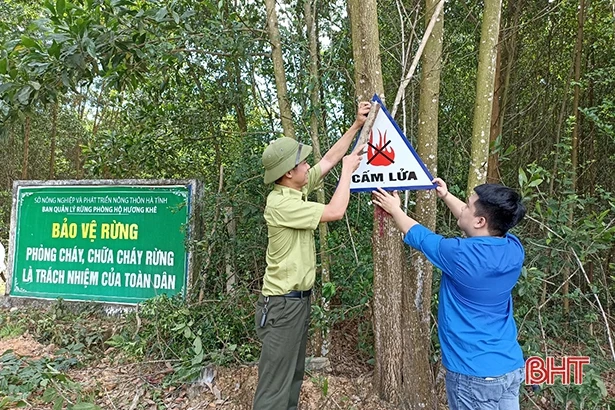 Tuổi trẻ Hà Tĩnh sôi nổi hưởng ứng “Ngày chủ nhật xanh”