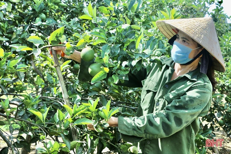 Hơn 3.300 bài thi viết về Đình nguyên Tiến sỹ Phan Đình Phùng và huyện Vũ Quang