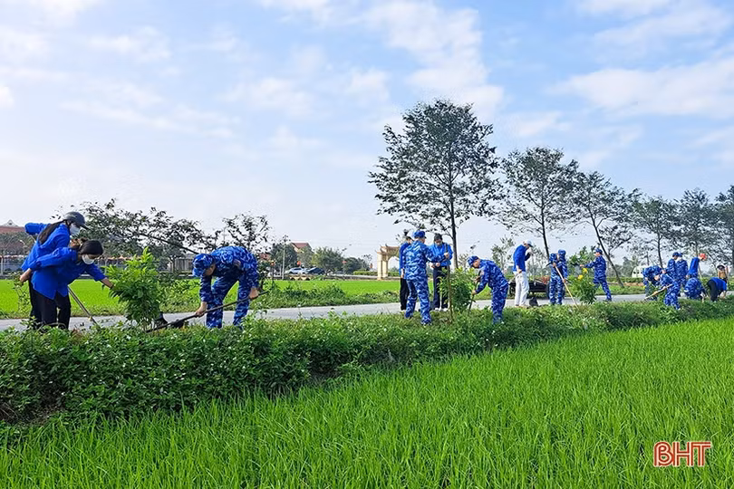 Nhiều đơn vị tiếp tục phát động trồng cây đầu năm mới