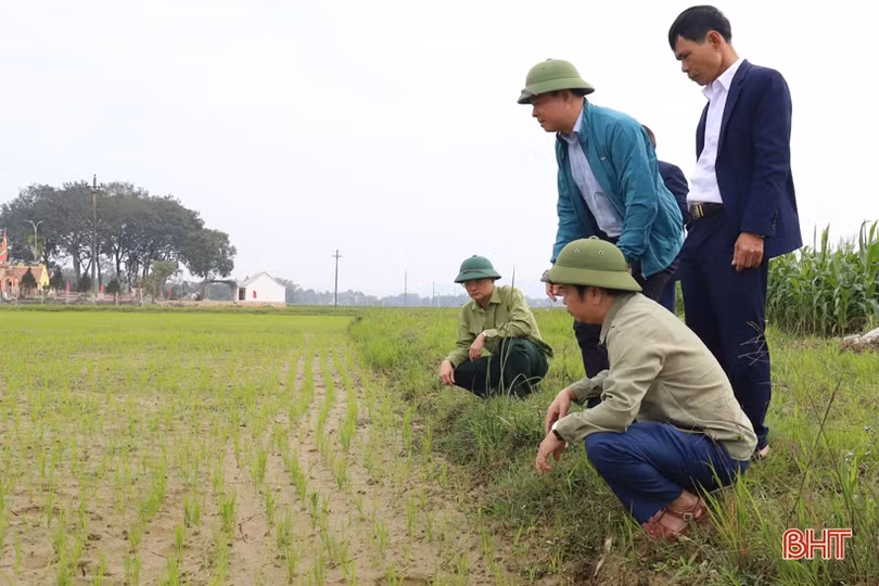 Lãnh đạo huyện Hương Sơn động viên sản xuất đầu năm