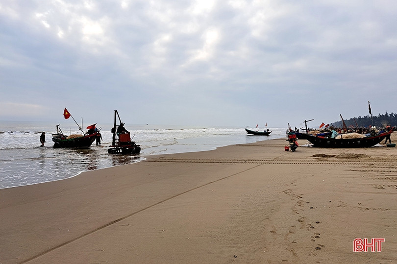 “Xông biển” đầu năm, ngư dân Nghi Xuân trúng đậm cá trích