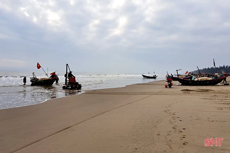“Xông biển” đầu năm, ngư dân Nghi Xuân trúng đậm cá trích