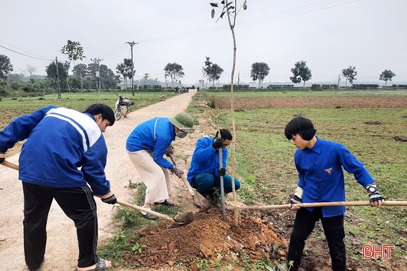 Hà Tĩnh sẽ trồng gần 1,7 triệu cây xanh dịp xuân Giáp Thìn