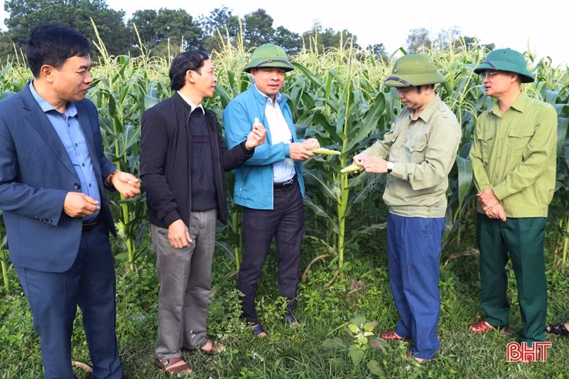 Lãnh đạo huyện Hương Sơn động viên sản xuất đầu năm