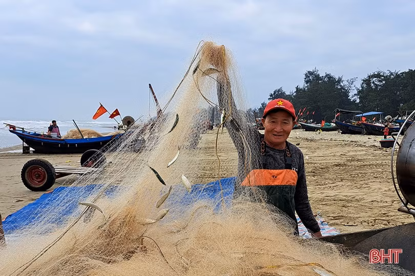 “Xông biển” đầu năm, ngư dân Nghi Xuân trúng đậm cá trích