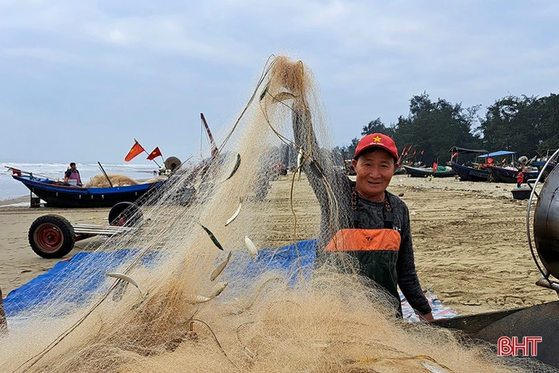 “Xông biển” đầu năm, ngư dân Nghi Xuân trúng đậm cá trích
