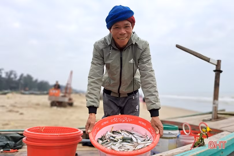 “Xông biển” đầu năm, ngư dân Nghi Xuân trúng đậm cá trích