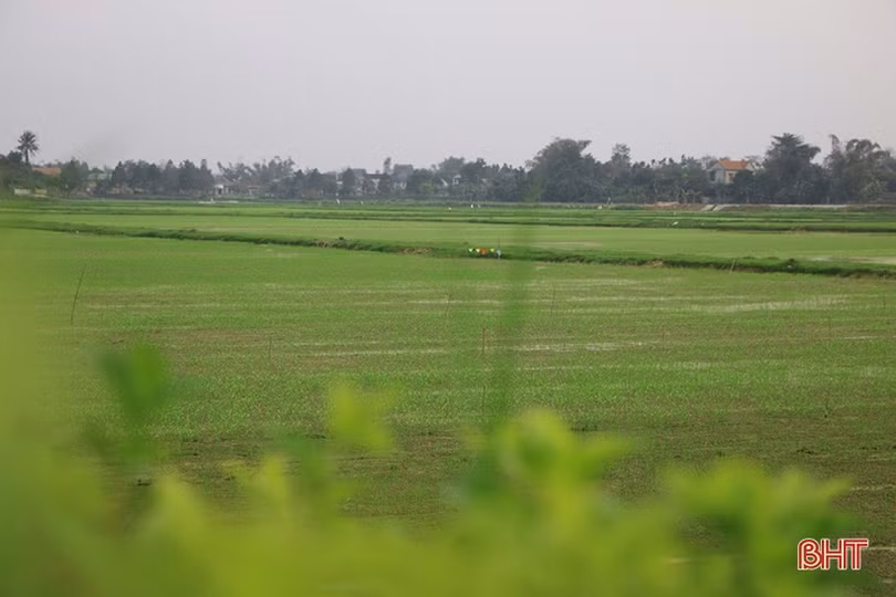 Thay “áo mới” cho những khu dân cư kiểu mẫu ở Hương Sơn