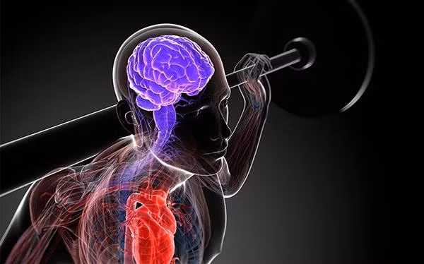 Các bài tập thể chất tốt nhất tăng cường trí nhớ