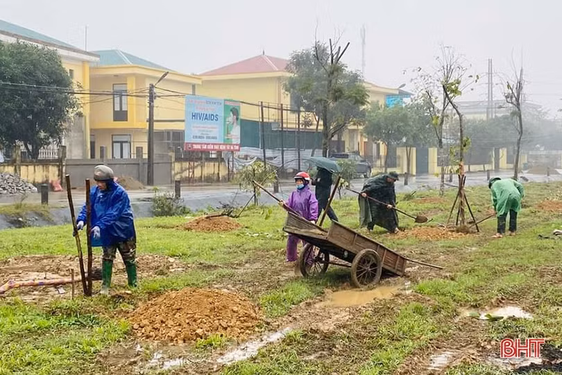 Hà Tĩnh sẽ trồng gần 1,7 triệu cây xanh dịp xuân Giáp Thìn