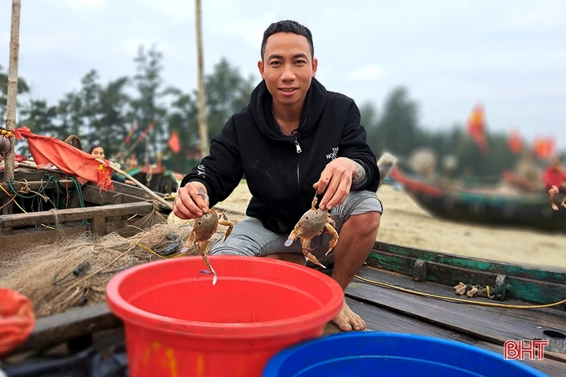 “Xông biển” đầu năm, ngư dân Nghi Xuân trúng đậm cá trích