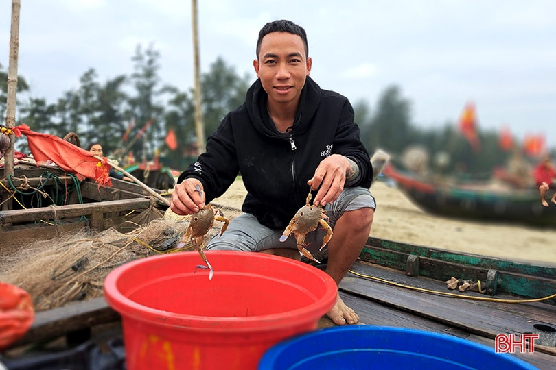 “Xông biển” đầu năm, ngư dân Nghi Xuân trúng đậm cá trích