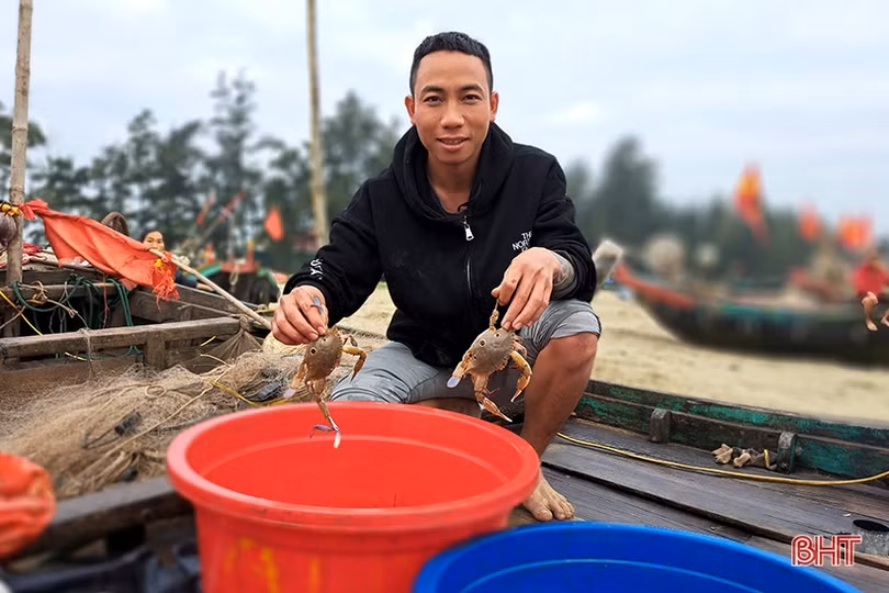 “Xông biển” đầu năm, ngư dân Nghi Xuân trúng đậm cá trích