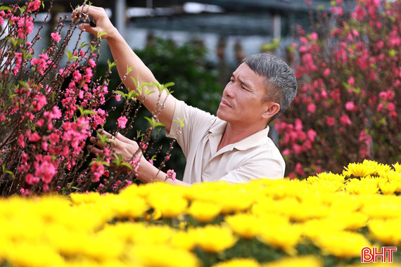 Rực rỡ sắc xuân ở đô thị trung tâm phía Nam Hà Tĩnh