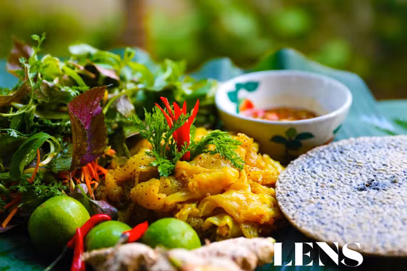 Độc đáo sứa lá dung ở miền biển phía Nam Hà Tĩnh