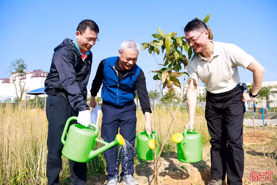 Công ty Formosa Hà Tĩnh phấn đấu trồng mới 100.000 cây xanh trong năm 2026