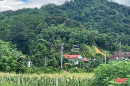 Trồng rừng bản địa, lợi ích lâu dài từ đất rừng Hà Tĩnh