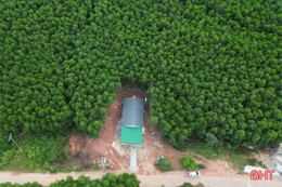 Xây nhà trái phép trên đất rừng