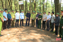 Lãnh đạo tỉnh kiểm tra công tác phòng cháy, chữa cháy rừng tại Hương Sơn, Hồng Lĩnh