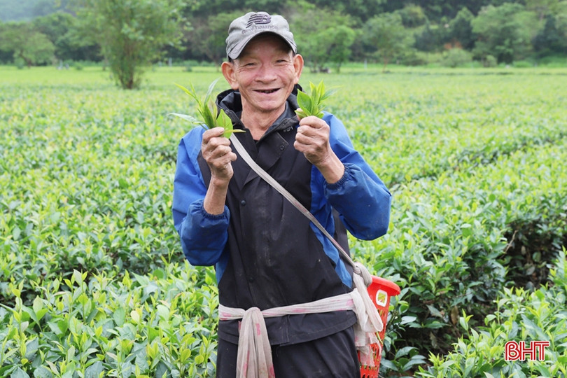 Dự báo Hà Tĩnh chỉ còn 4 ngày thời tiết đẹp trước khi đón đợt mưa rét