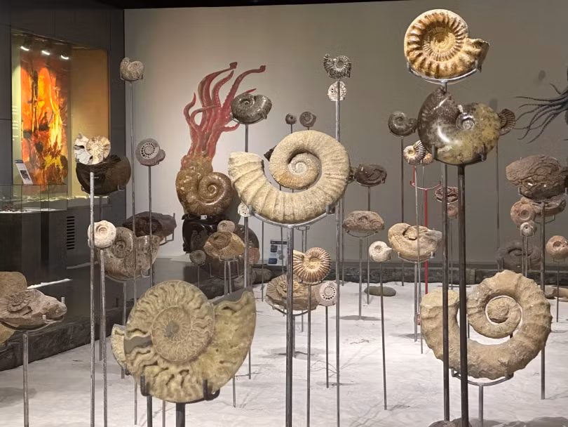 Cận cảnh viên đá cổ nhất Việt Nam gần 3 tỷ năm tuổi