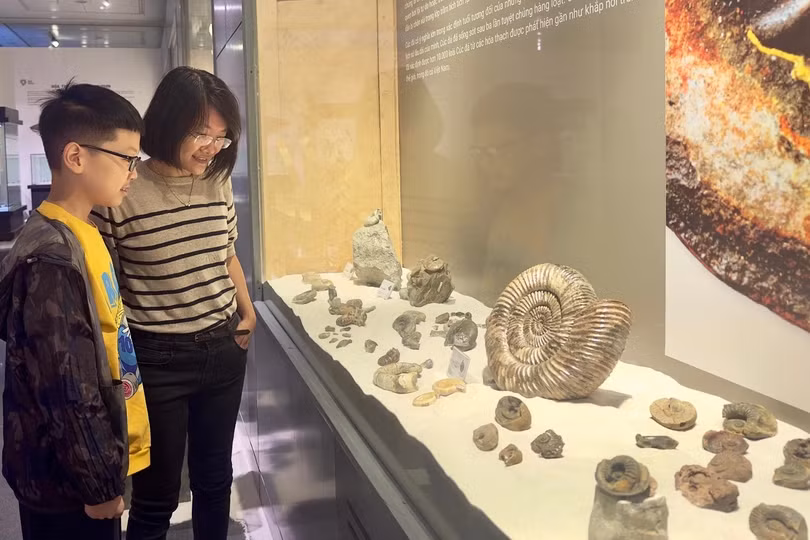 Cận cảnh viên đá cổ nhất Việt Nam gần 3 tỷ năm tuổi