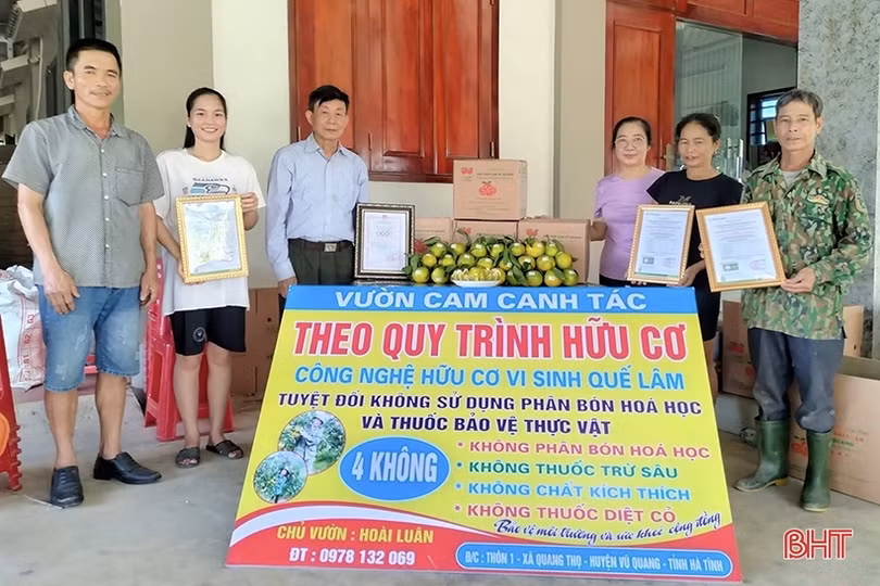 Hà Tĩnh có 60 mô hình sản xuất nông nghiệp theo hướng hữu cơ
