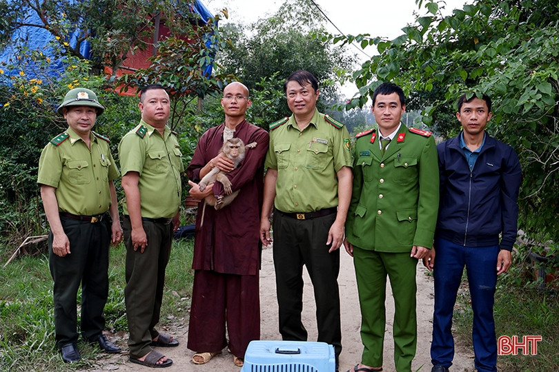 Bàn giao 4 cá thể trăn đất, khỉ đuôi lợn cho Vườn Quốc gia Vũ Quang