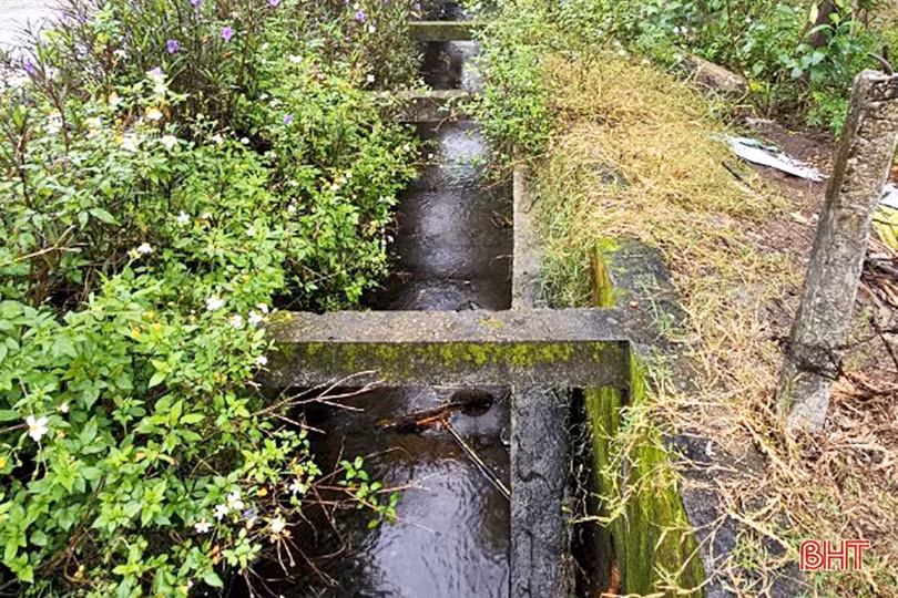 Kênh tiêu thoát bốc mùi khó chịu, người dân Yên Hòa đã có câu trả lời