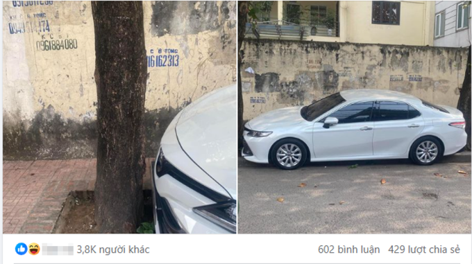 Tài xế ghép ngang xe vừa khít giữa hai cây