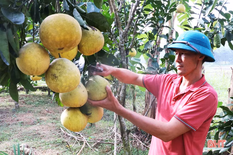 Xã đội phó ở Hương Sơn đảm việc xã hội, giỏi làm kinh tế